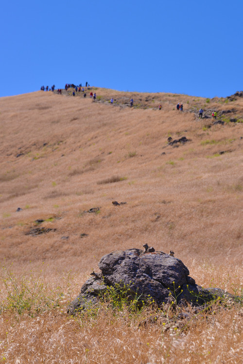 Mission Peak